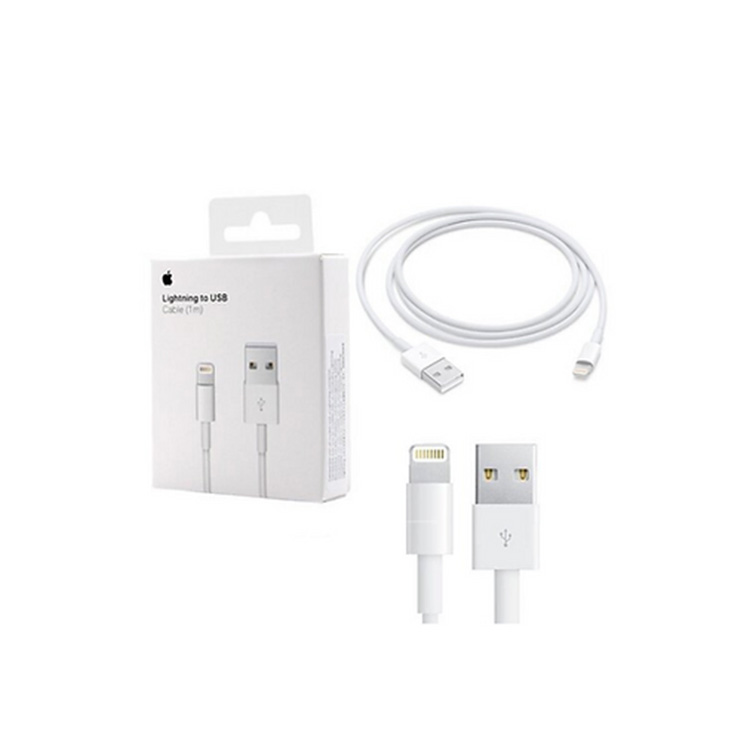 Apple Lightning To USB Cable 1M