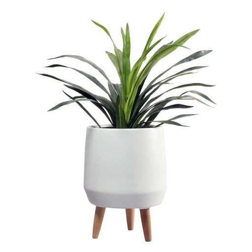 Flower Pot md size