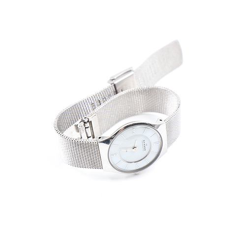Skagen Denmark 233xSSS All Stainless Steel For Women