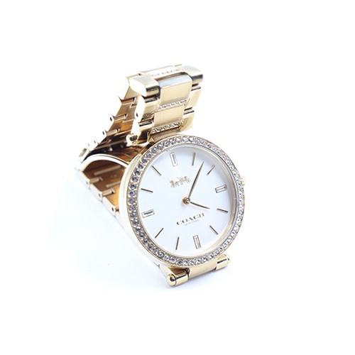 Coach CA.123.7.34.1567S Women Watch, All Stainless Steel, Water Resistant 3m