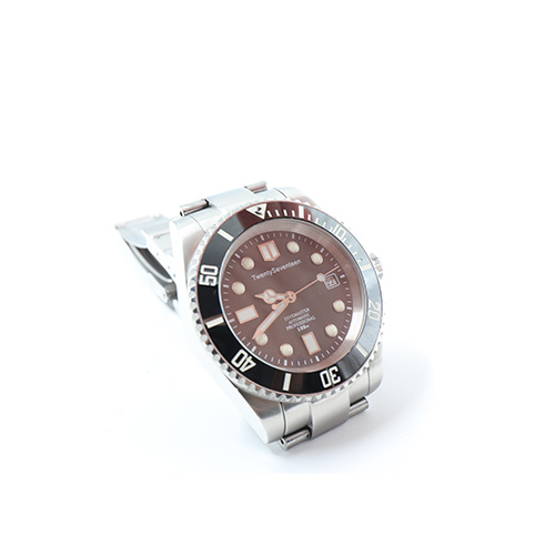 TwentySeventeen W004M, Automatic Dive Master Professional 100 m