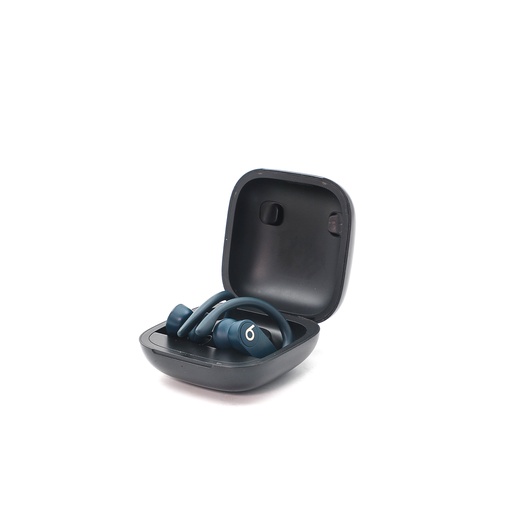 Beats Power Beat Pro Wireless Earbuds
