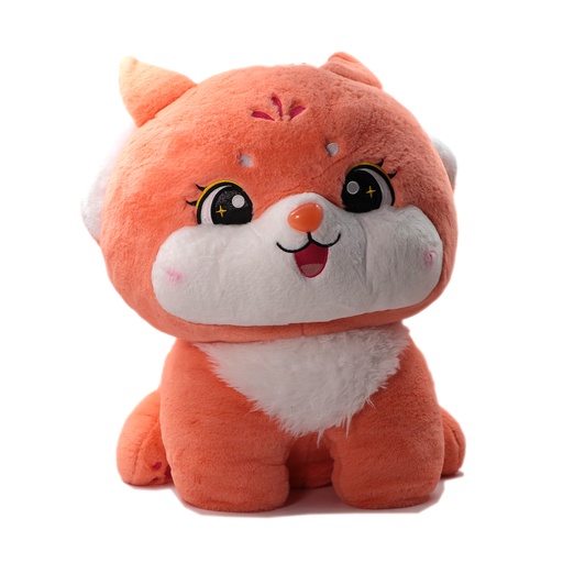 Big Fluffy Cute kitten