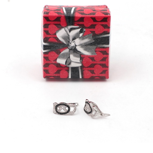 Earrings Silver Black