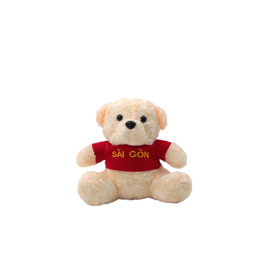 Teddy Bear Small Plush Toy