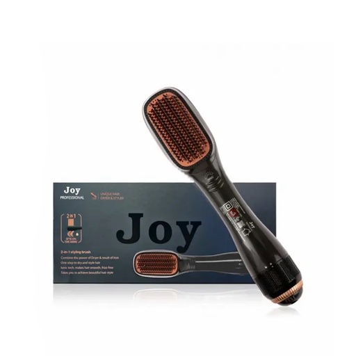 Joy Professional Hair Dryer and Styler 2in1