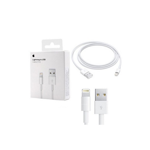 Apple Lightning To USB Cable 1M