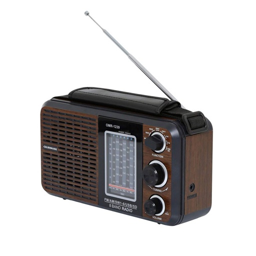 OLSEN MARK FM/SD/BT Music Player