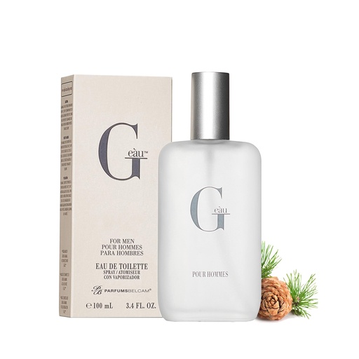 Acqua Di Gio For Men Eau De Toillette Parfums Belcam 100 ml