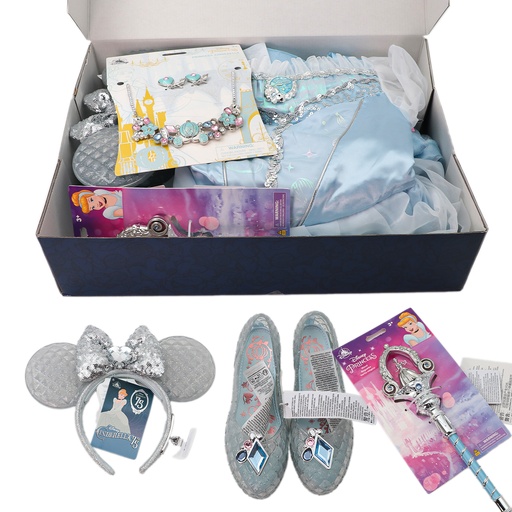 Disney Princess set size - for 9/10 yrs old