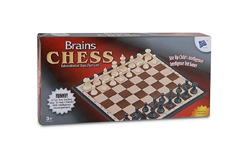Brain High Quality Magnet Chess (Small) Toys