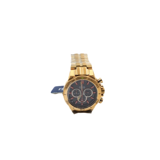 Festina Chrono Bike Men's Watch F20450