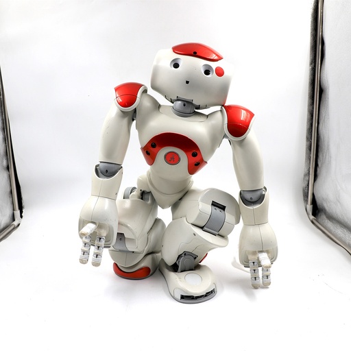 NAO Robot, **Working Condition Not checked , Doesn’t Include the charger