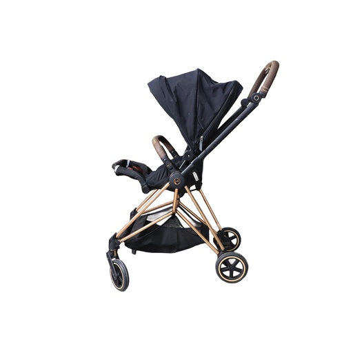 Cybex Platinum Expensive Stroller