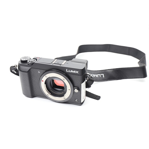 Panasonic Lumix Model No, DMC-GX85