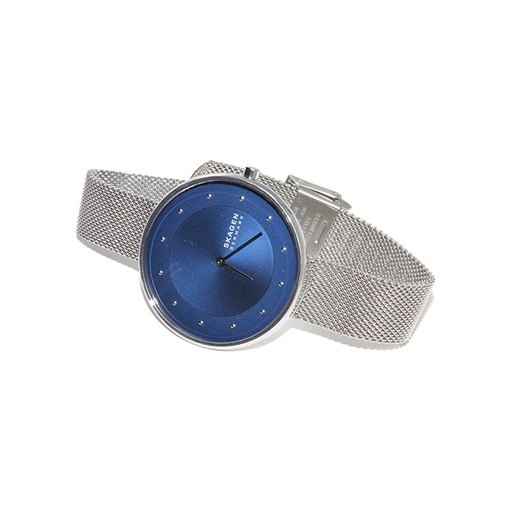 Skagen , Denmark SKW2809, All Stainless Steel