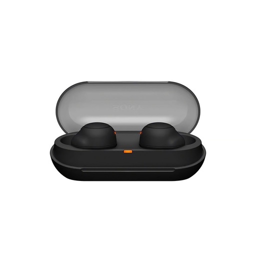 Sony WF-C500 True Wireless Earbuds