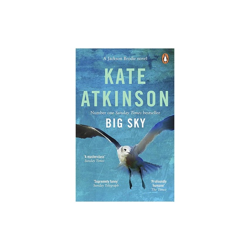 Kate Atkinson Number One Sunday  Times Bestseller Big Sky