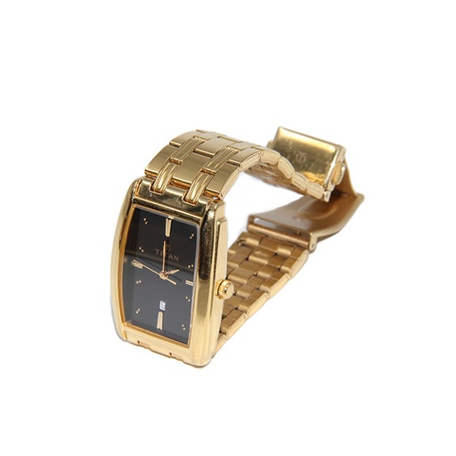 Titan 1163YAB, Stainless Steel Back + 30 Meter Water Resistant