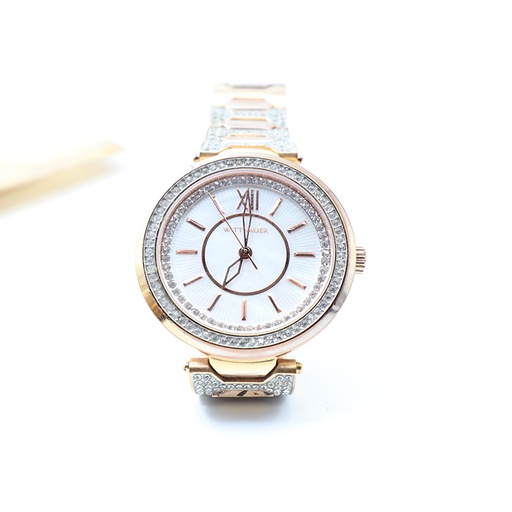 Wittnauer WN4025, B5 Sapphire Glass, Water Resistant 50 meters