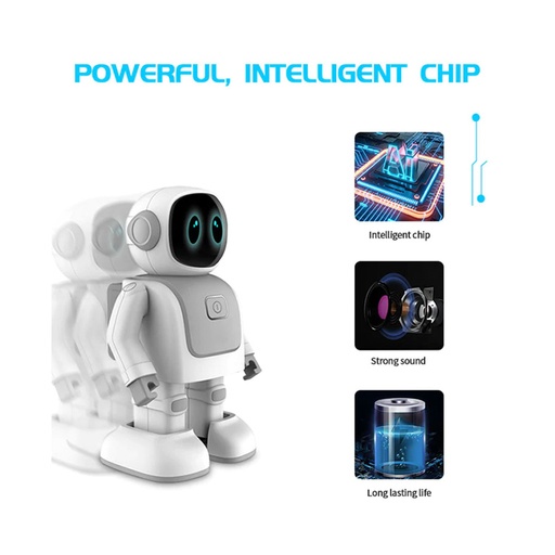 TopJoy Programmable Dance Robot Speaker RS01 Grey