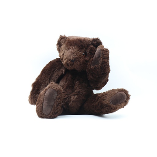 Friend For Life Conceived by Vermont Teddy Bear Born Abroad Plush Dark Brown