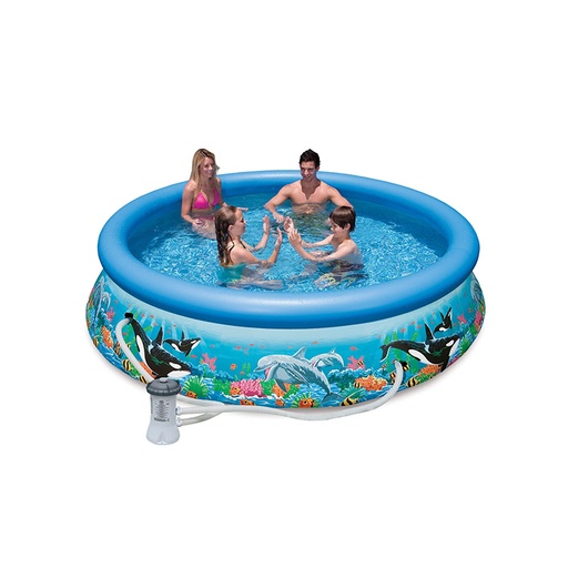 Intex 10 Feat x 30 In printed easy Set Pool