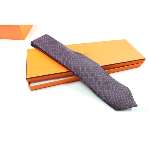 Hermes Paris Cravat