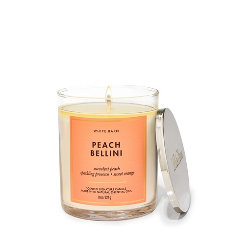 White Barn Peach Bellini Succulent Peach