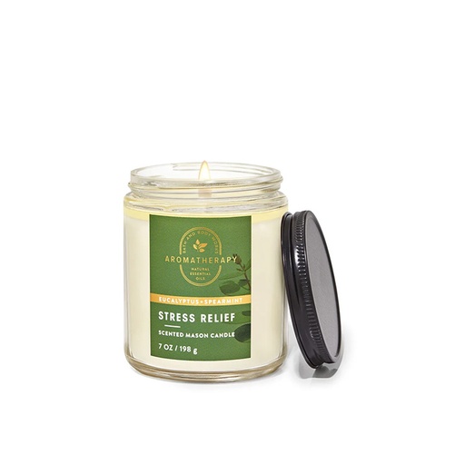 Aromatherapy Eucalyptus + Spearmint Stress Relief