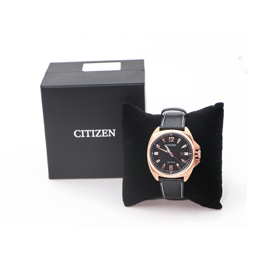 Citizen J810-0014J0B , WR-10BAr,Sapphire Base St Steel