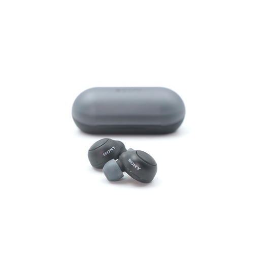 Sony WF-C500 Truly Wireless Earbuds
