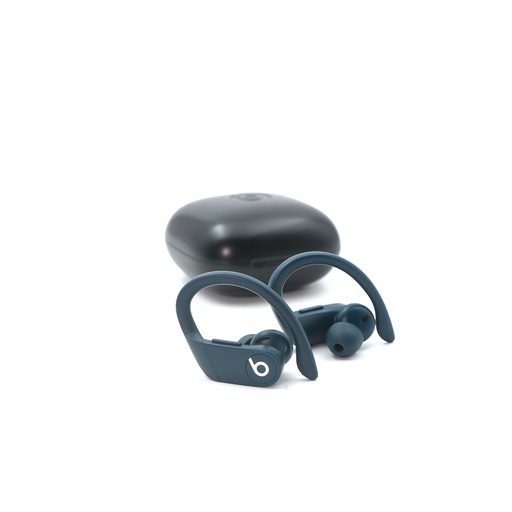 Beats Powerbeats Pro Wireless Earbuds - Blue Colors