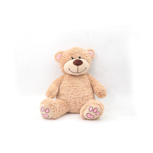 Teddy Bear Plush