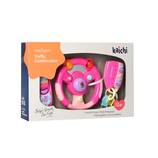 Kaichi intelligent traffic combination